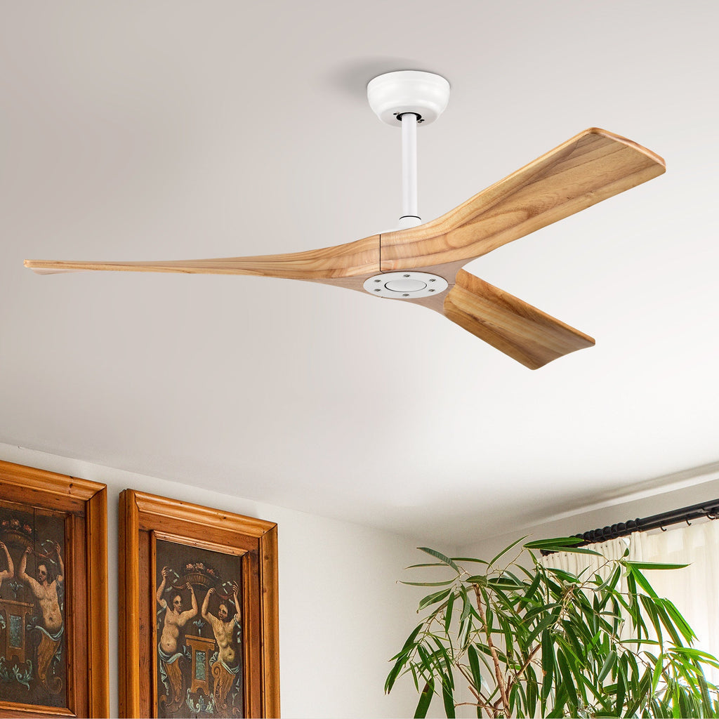 Metal Ceiling Fan