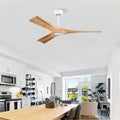 Metal Ceiling Fan